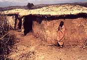 masai_boy_sm.jpg (16082 bytes)