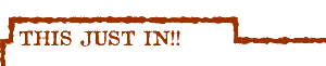 this1.gif (1905 bytes)